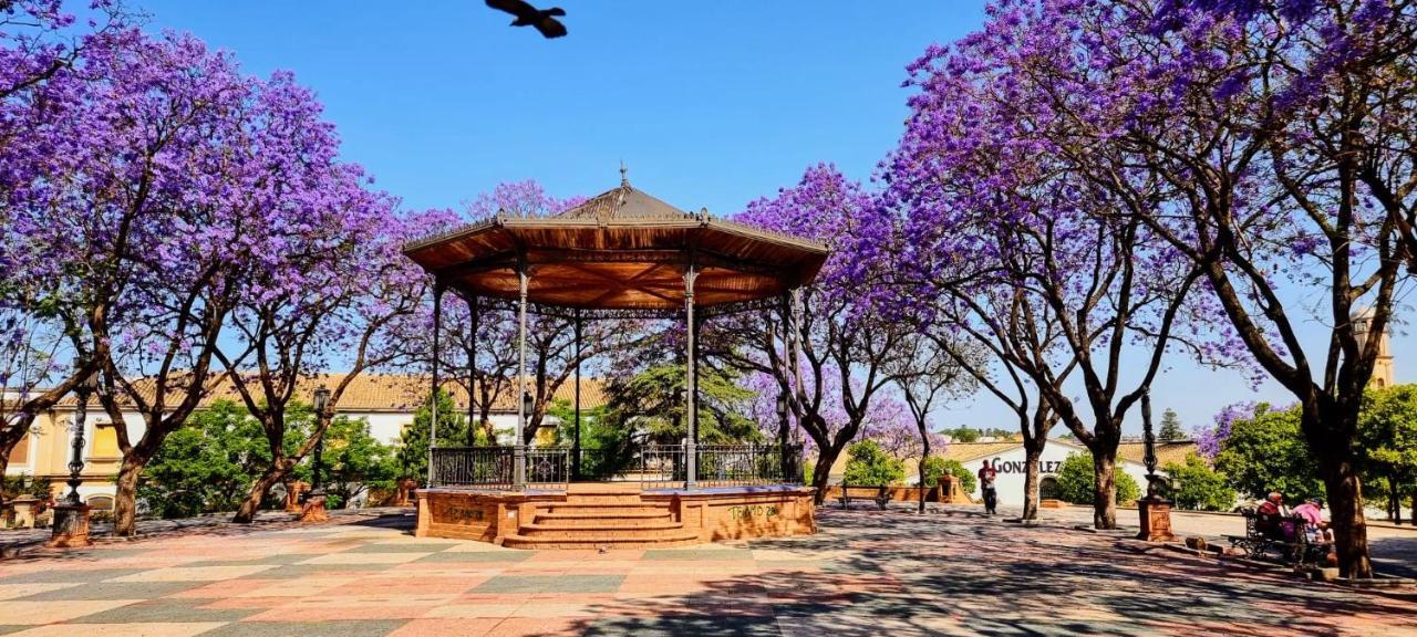 Alazan Jerez Ii-Parking Gratis-Wifi-Netflix Apartment Jerez de la Frontera Ngoại thất bức ảnh